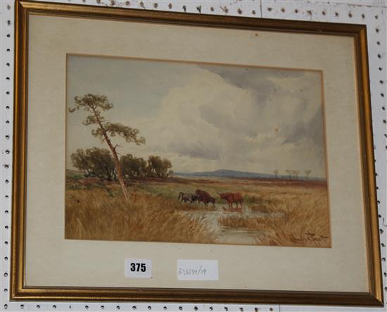 Watercolour of cattle signed Churl Pinott